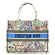 CHRISTIAN DIOR Book Medium Embroidered D-Constellation Canvas Tote Bag Multicolor
