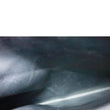files/AC2A7841_clipped_rev_1_7d21a546-64f8-4132-945e-963493dca7be.jpg