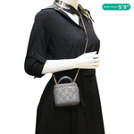 CHANEL Classic Top Handle Quilted Lambskin Leather Vanity Case Crossbody Bag Grey