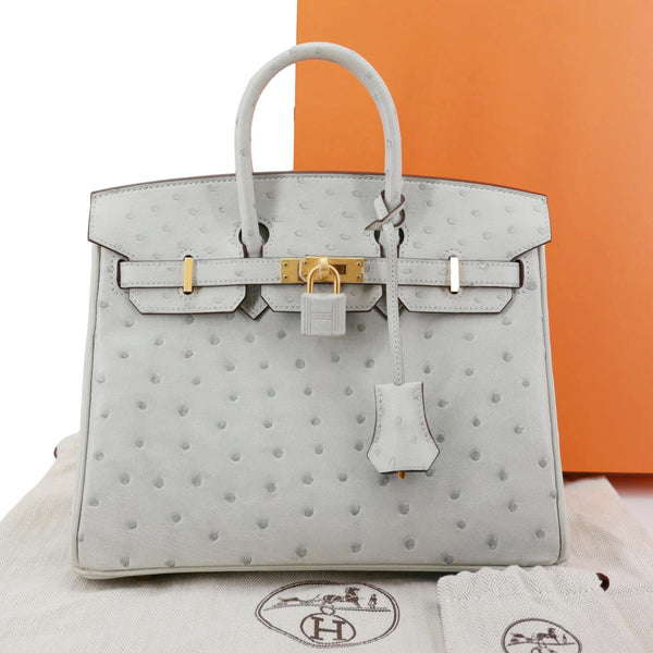 HERMES Birkin 25 Ostrich Leather Satchel Bag Gris Perle