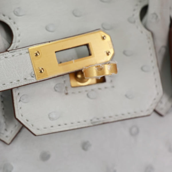 HERMES Birkin 25 Ostrich Leather Satchel Bag Gris Perle