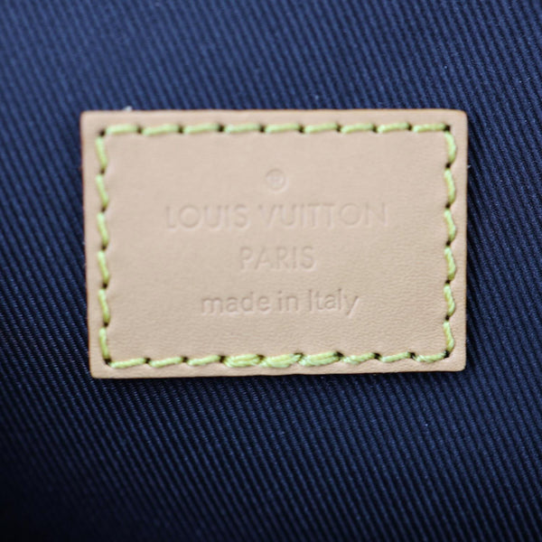LOUIS VUITTON Nano Diane Monogram Canvas Shoulder Bag Brown
