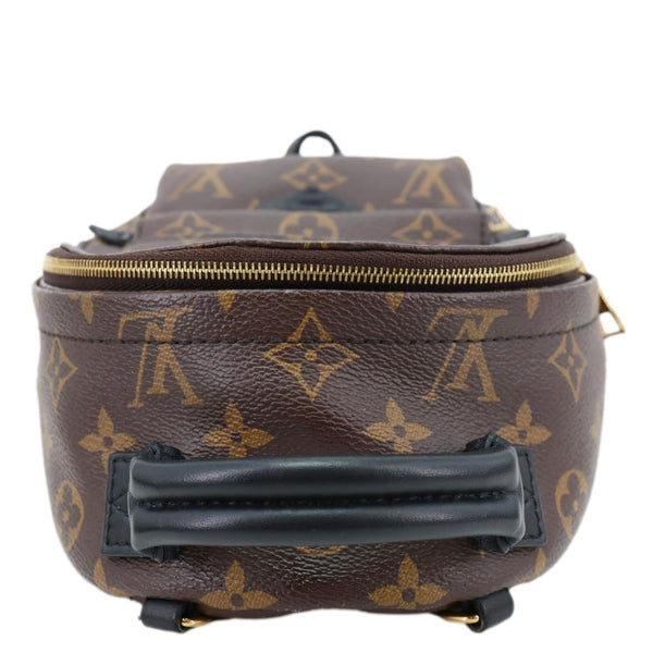 LOUIS VUITTON Palm Spring Mini Monogram Canvas Backpack Brown