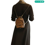 LOUIS VUITTON Palm Spring Mini Monogram Canvas Backpack Brown
