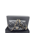 Chanel Elegant Chain Flap Bag