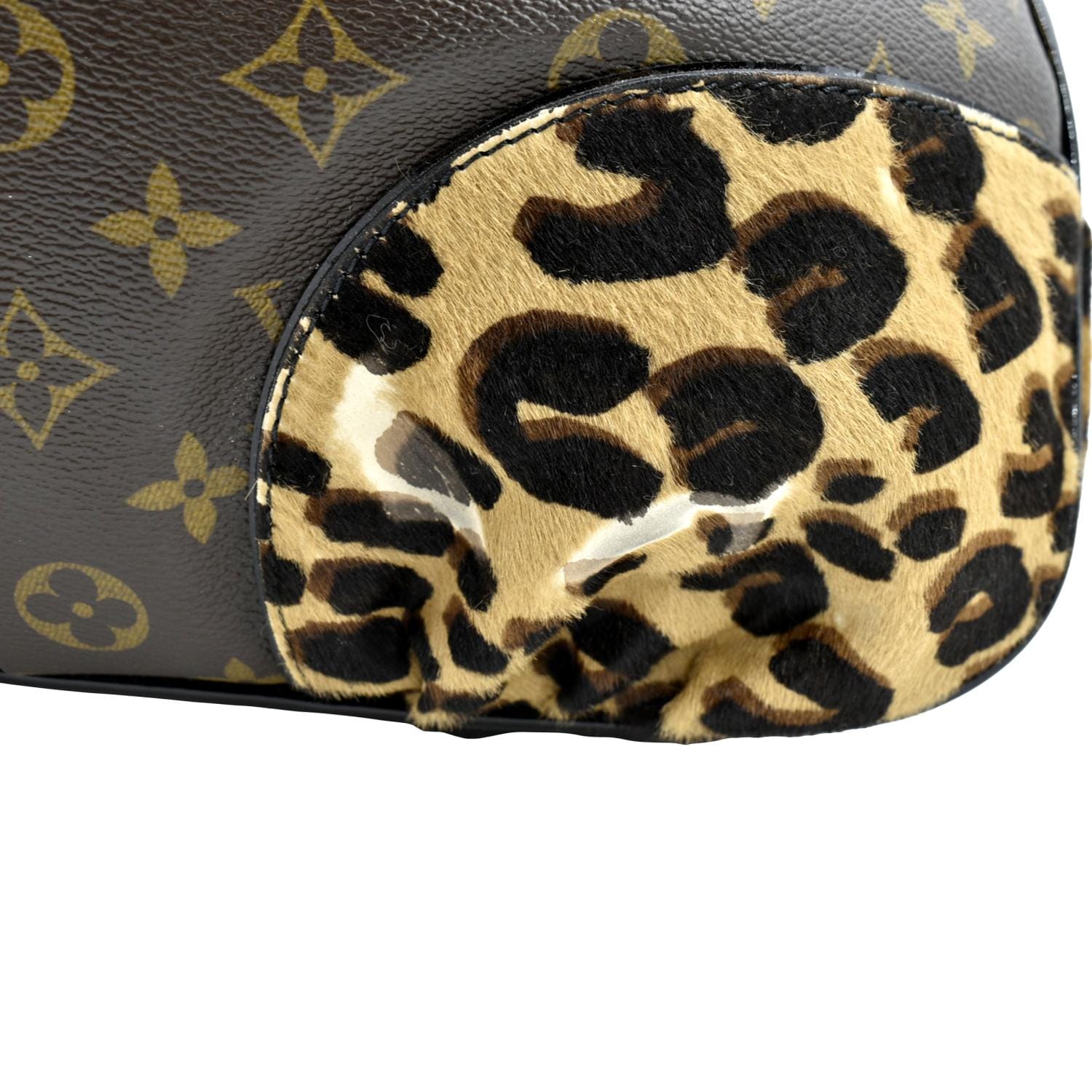 Louis Vuitton Monogram Leopard Polly Hobo Louis Vuitton
