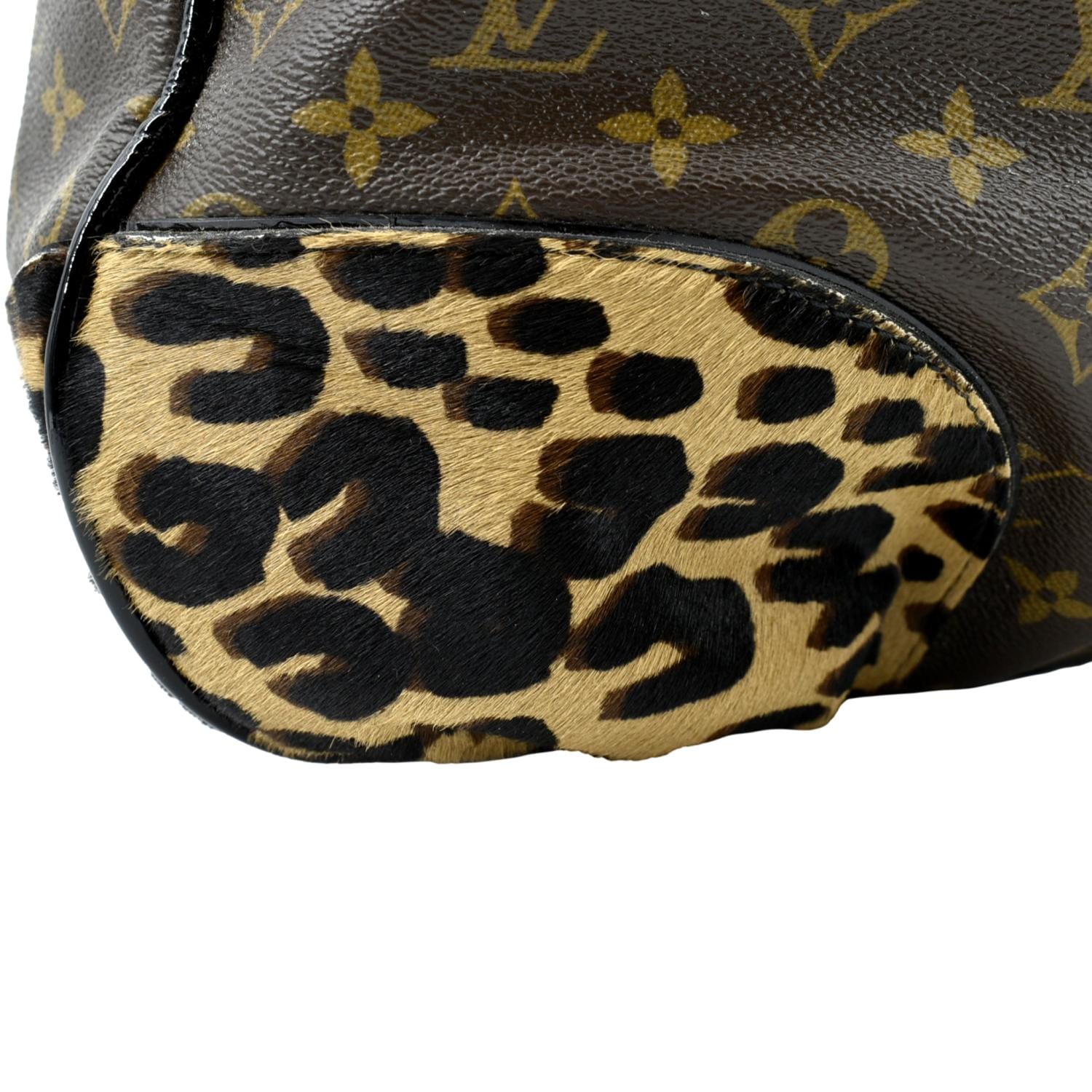 louis vuitton leopard print bag