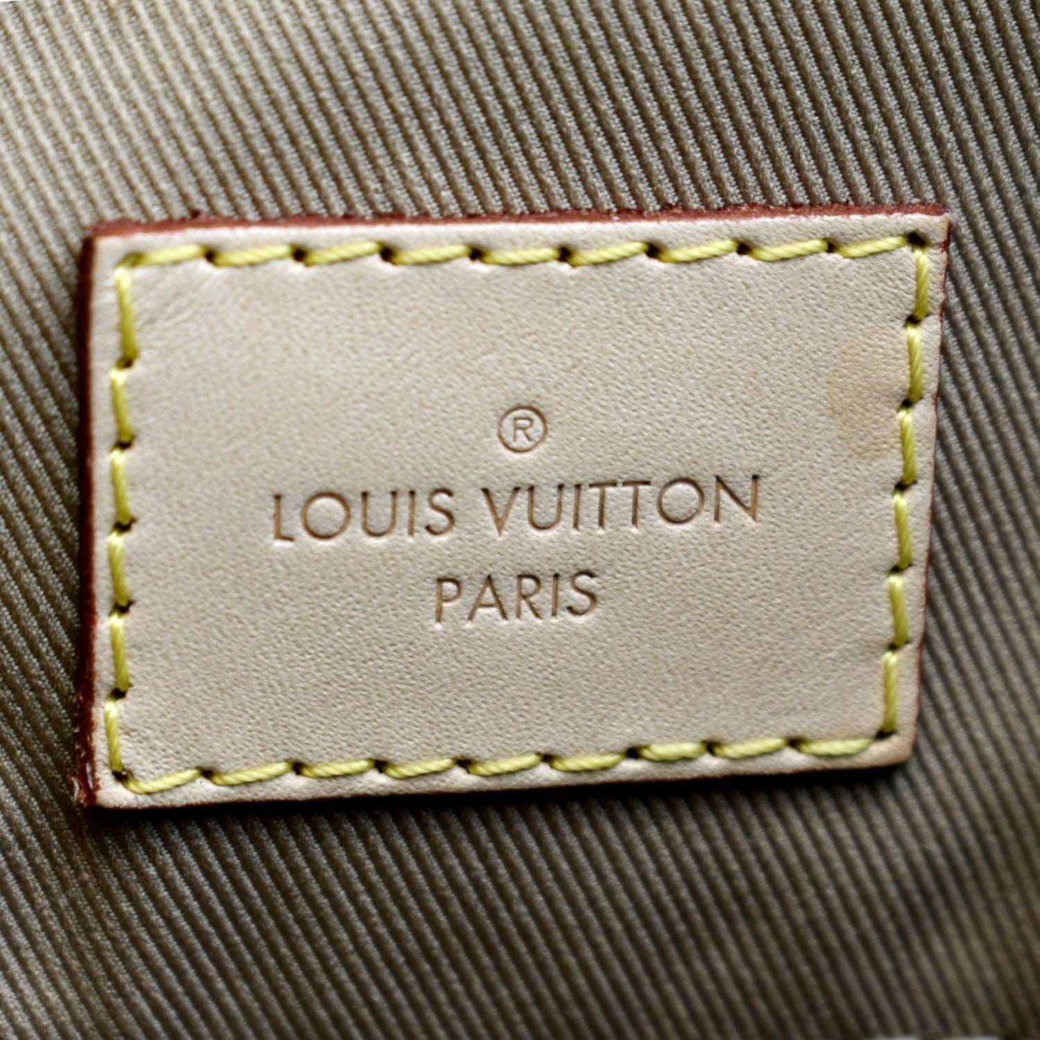 Louis Vuitton Monogram Graceful PM Hobo 5LK0201