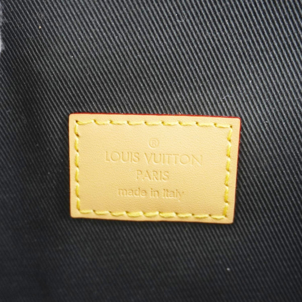 LOUIS VUITTON Nano Diane Monogram Canvas Shoulder Bag Brown