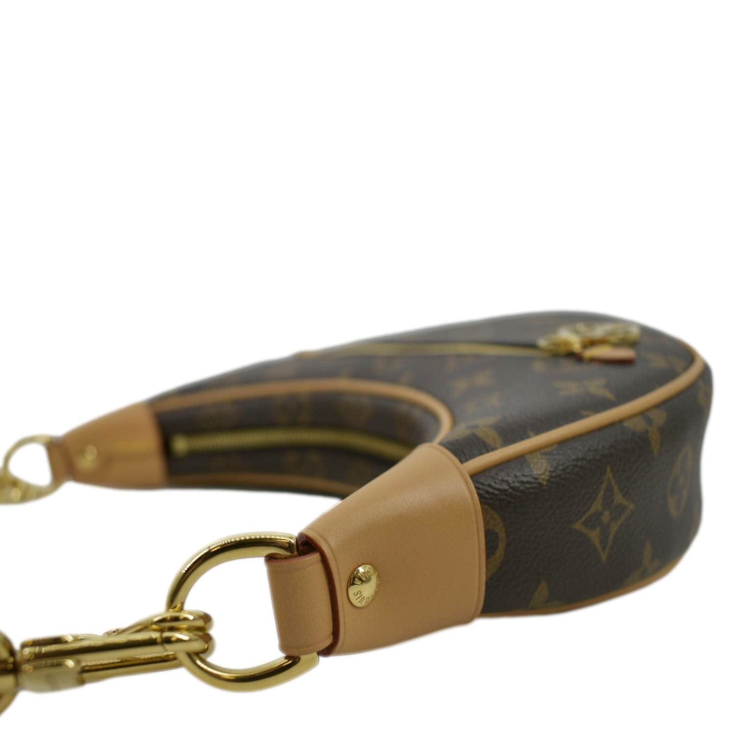 Louis Vuitton Loop Handbag Monogram Brown
