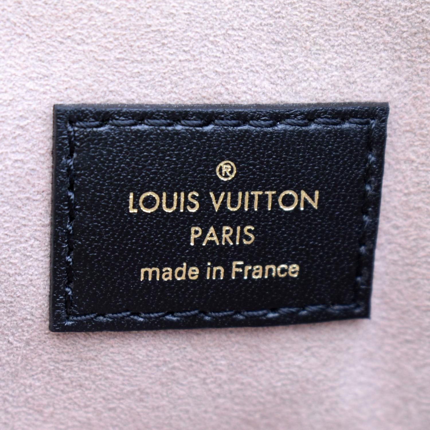 Louis Vuitton Coussin PM Handbag Colorful Monogram Embossed Puffed She -  Praise To Heaven
