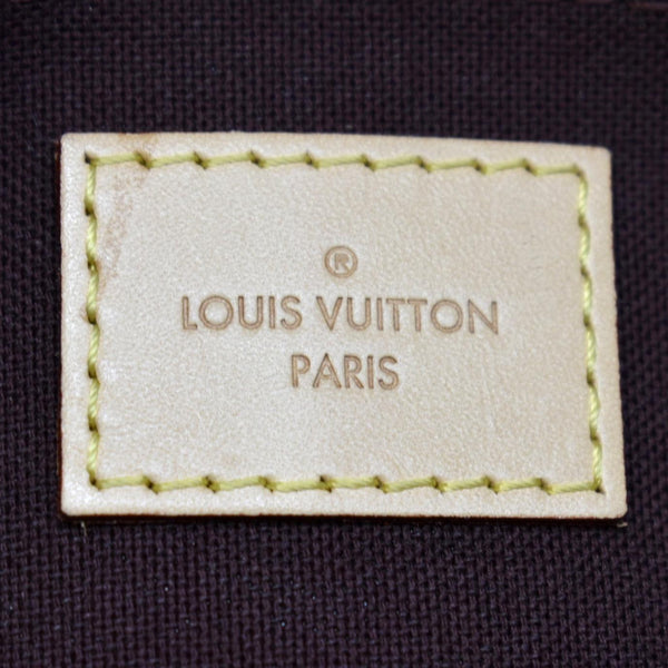 LOUIS VUITTON Favorite MM Monogram Canvas Crossbody Bag Brown