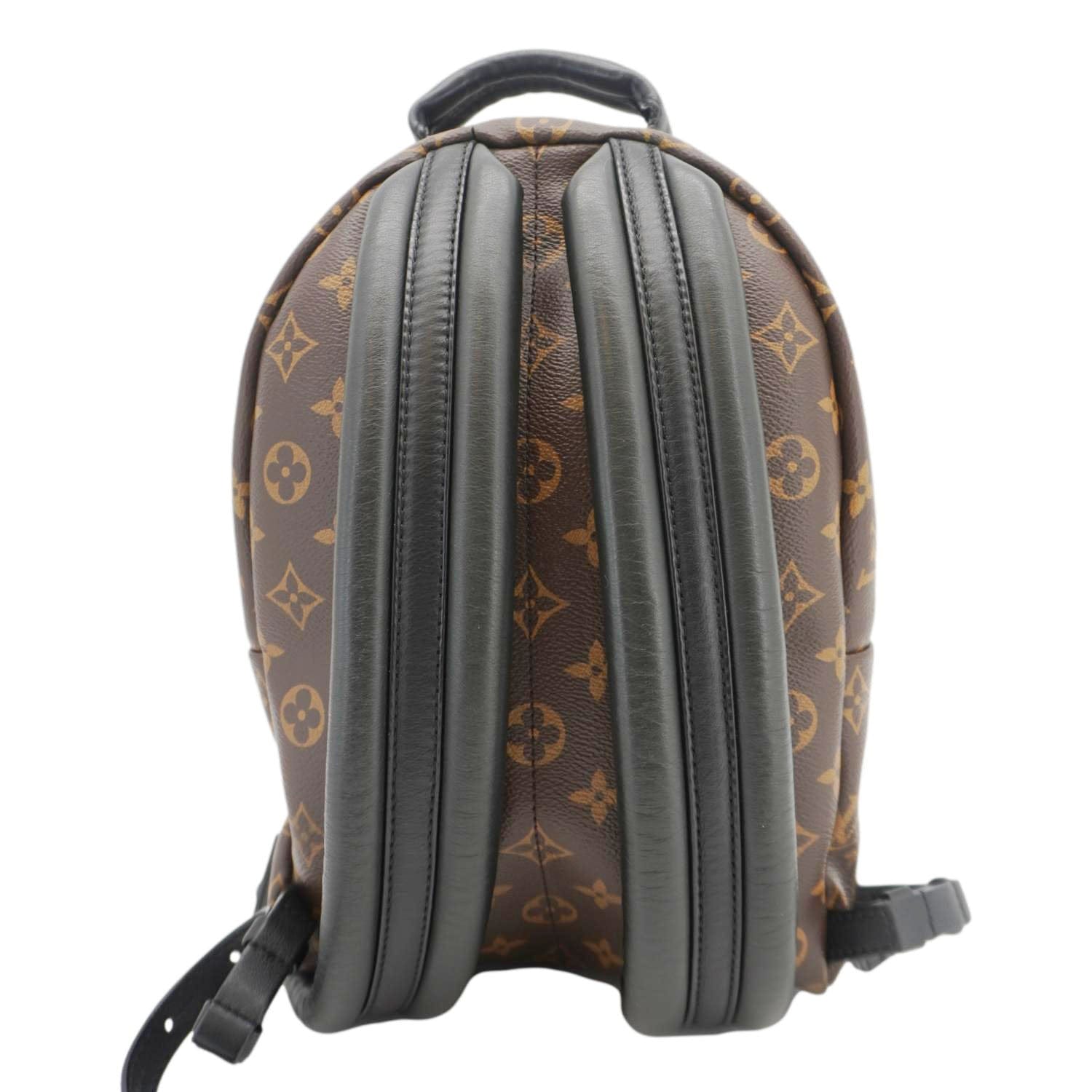 Louis Vuitton Palm Springs Monogram Canvas Pm Backpack Louis Vuitton Palm Springs Monogram Canvas Pm Backpack