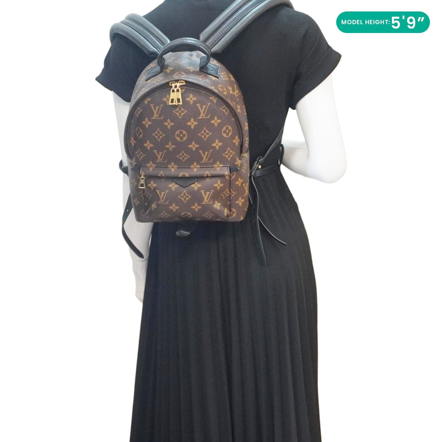 Louis Vuitton Palm Springs Monogram Canvas Pm Backpack Louis Vuitton Palm Springs Monogram Canvas Pm Backpack