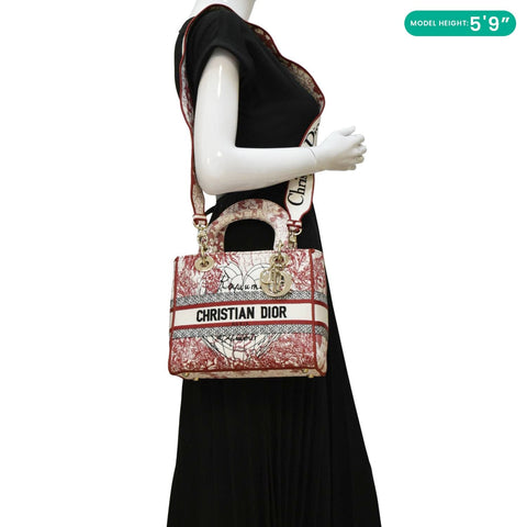 CHRISTIAN DIOR Lady D-Lite Medium Diormour D-Royaume dAmour Motif Canvas Crossbody Bag Multicolor