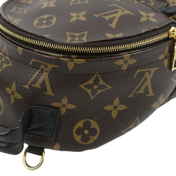 LOUIS VUITTON Palm Springs Mini Monogram Canvas Backpack Brown
