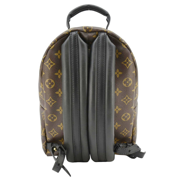 LOUIS VUITTON Palm Springs PM Monogram Canvas Backpack Brown