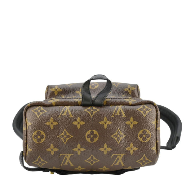 LOUIS VUITTON Palm Springs PM Monogram Canvas Backpack Brown