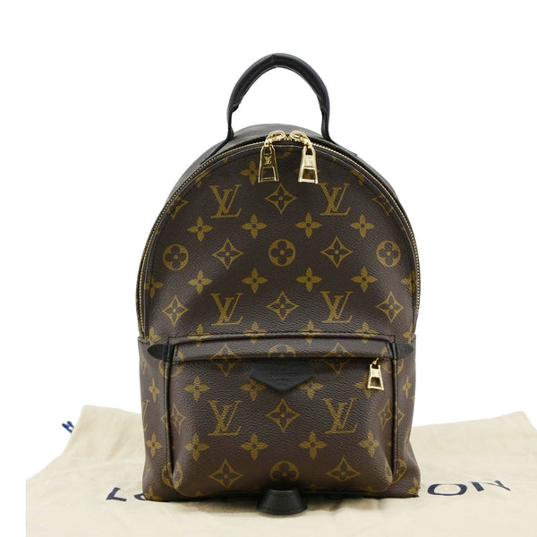 LOUIS VUITTON Palm Springs PM Monogram Canvas Backpack Brown