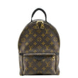LOUIS VUITTON Palm Springs PM Monogram Canvas Backpack Brown