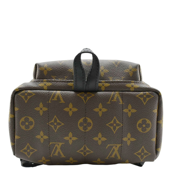LOUIS VUITTON Palm Springs PM Monogram Canvas Backpack Brown