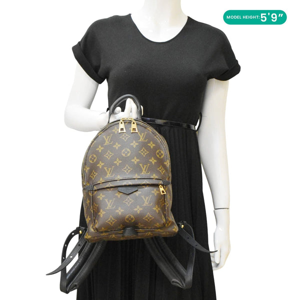 LOUIS VUITTON Palm Springs PM Monogram Canvas Backpack Brown