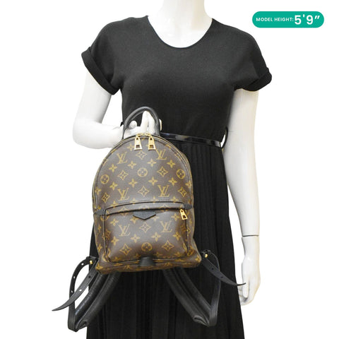 LOUIS VUITTON Palm Springs PM Monogram Canvas Backpack Brown