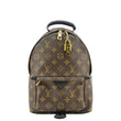 LOUIS VUITTON Palm Springs PM Monogram Canvas Backpack Brown