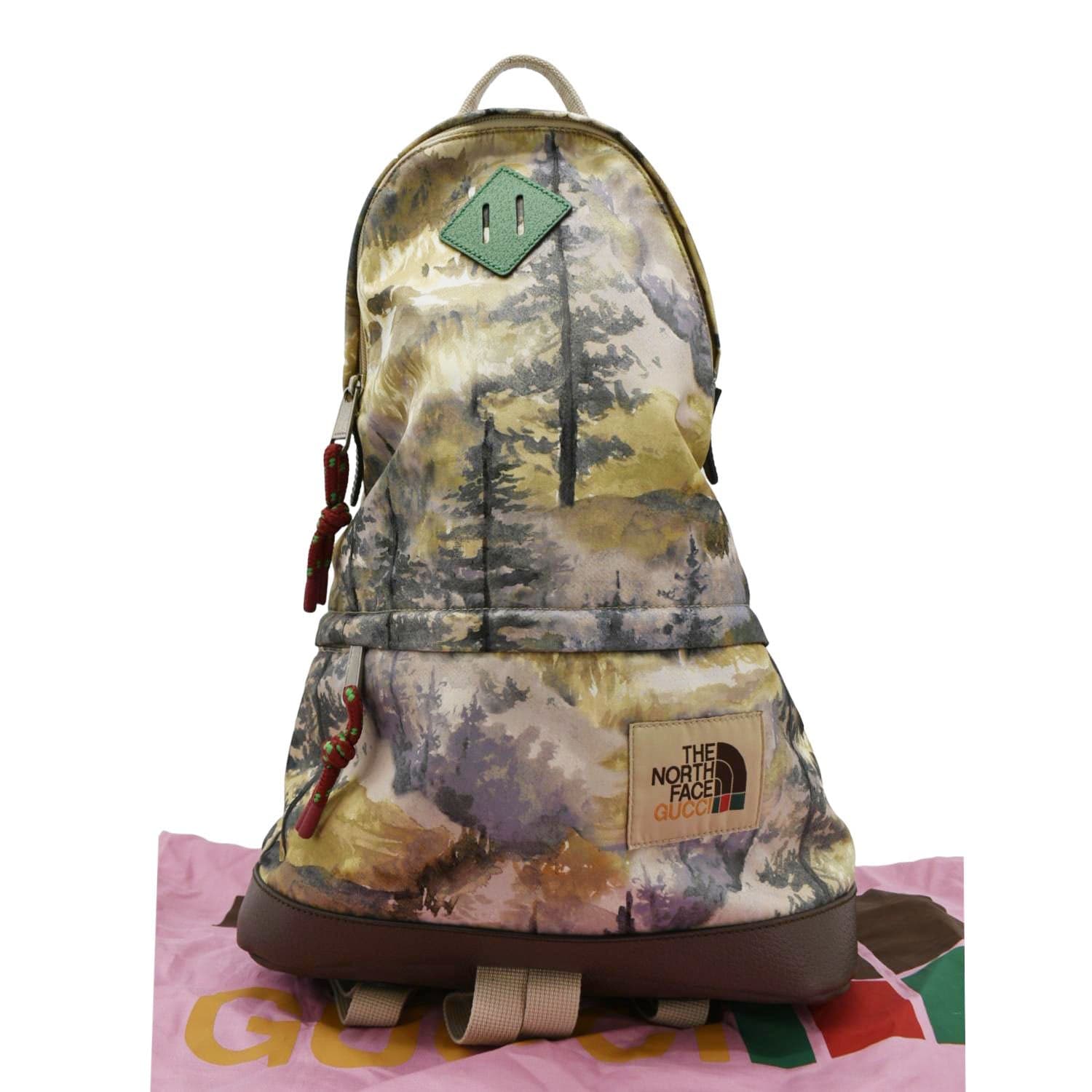 multicolor north face backpack GUCCI x The North Face Mountain Print Nylon Backpack