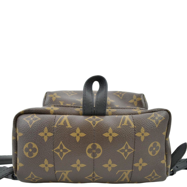LOUIS VUITTON Palm Springs PM Monogram Canvas Backpack Brown