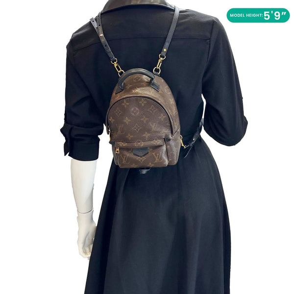 LOUIS VUITTON Palm Spring Mini  Monogram Canvas Backpack Brown