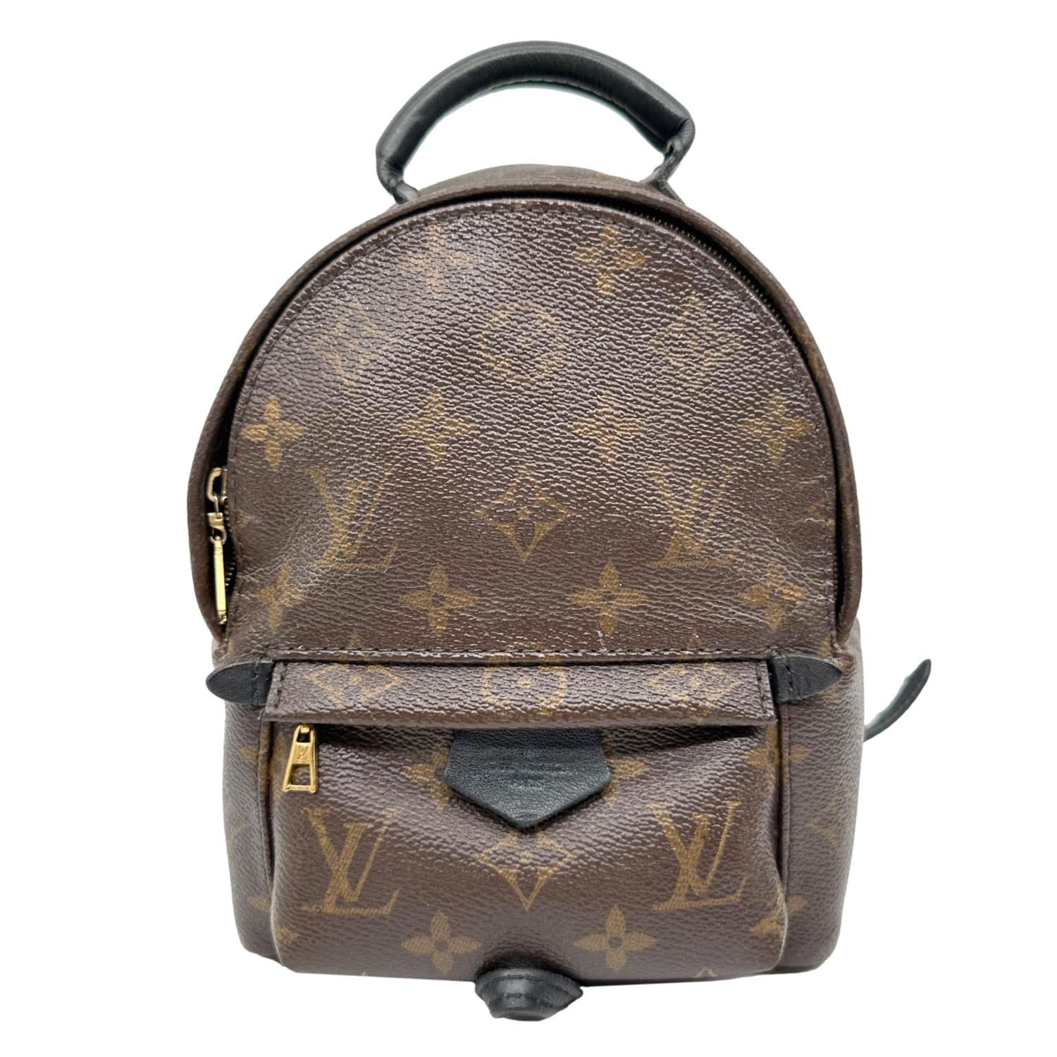 Louis Vuitton Monogram Palm Springs Mini Backpack