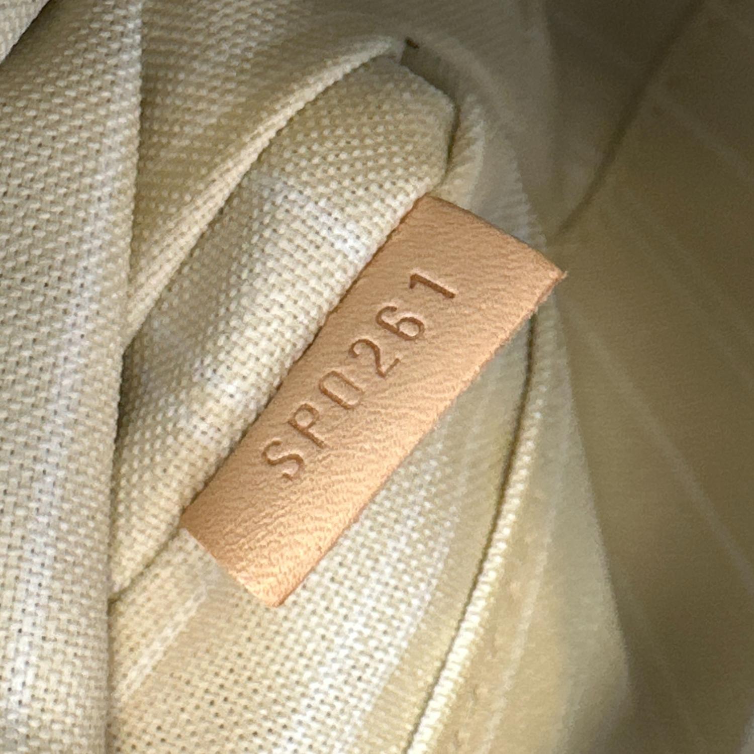 LOUIS VUITTON Multi Pochette Accessories By the Pool Monogram Giant Ca