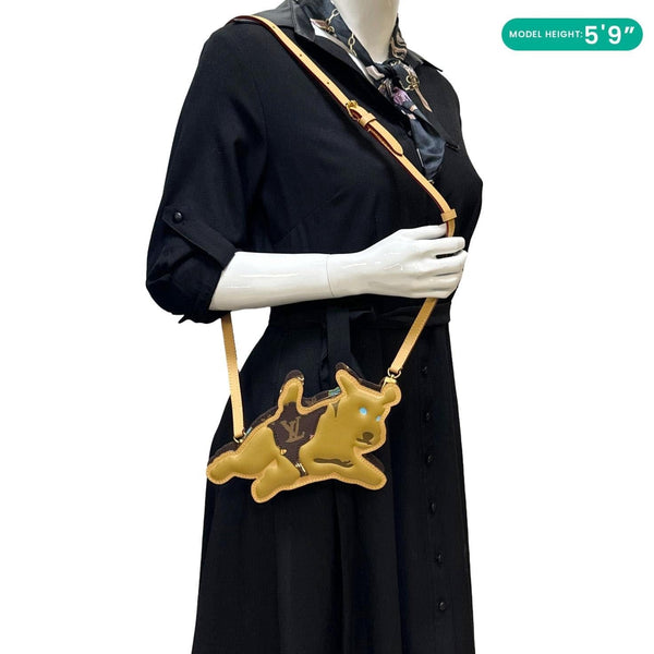 LOUIS VUITTON X Tyler The Creator Dog On Strap Monogram Craggy Canvas Crossbody Bag Brown