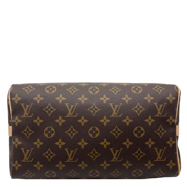 LOUIS VUITTON Speedy 30 Bandouliere My World Tour Monogram Canvas Shoulder Bag Brown