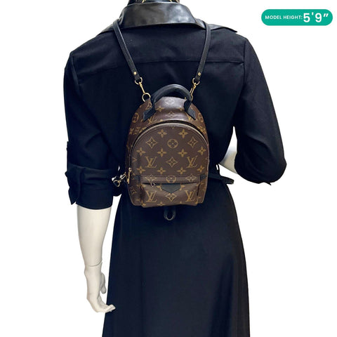 LOUIS VUITTON Palm Spring Mini  Monogram Canvas Backpack Brown