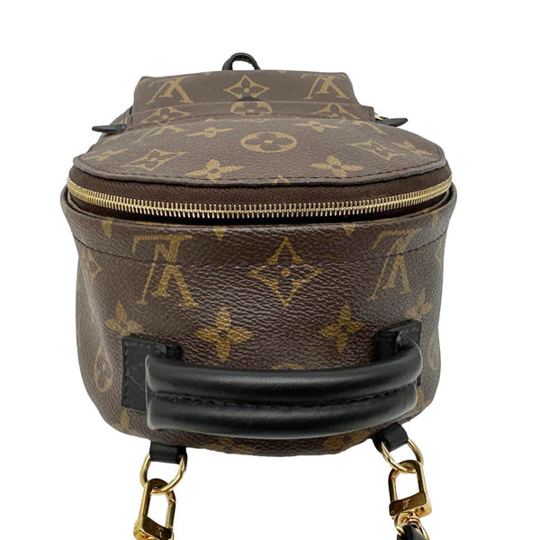LOUIS VUITTON Palm Spring Mini  Monogram Canvas Backpack Brown