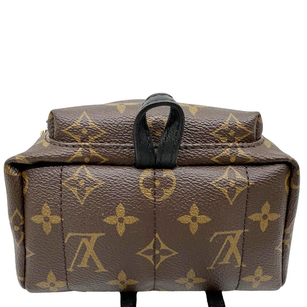 LOUIS VUITTON Palm Spring Mini  Monogram Canvas Backpack Brown