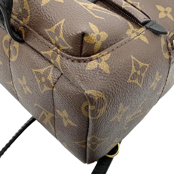 LOUIS VUITTON Palm Spring Mini  Monogram Canvas Backpack Brown