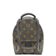LOUIS VUITTON Palm Springs Mini Monogram Canvas Backpack Brown front look