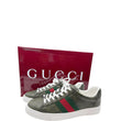 Gucci Ace Sneaker with Web