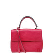 Louis Vuitton Epi Cluny Bag
