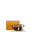 Louis Vuitton Monogram High Rise Bumbag