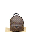 Louis Vuitton Monogram Palm Springs Backpack