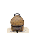Louis Vuitton Reverse Monogram Palm Springs Backpack