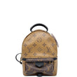 Louis Vuitton Reverse Monogram Palm Springs Backpack