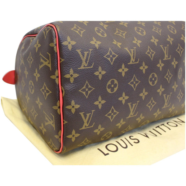 Louis Vuitton Totem Speedy 30 Monogram Canvas Bag