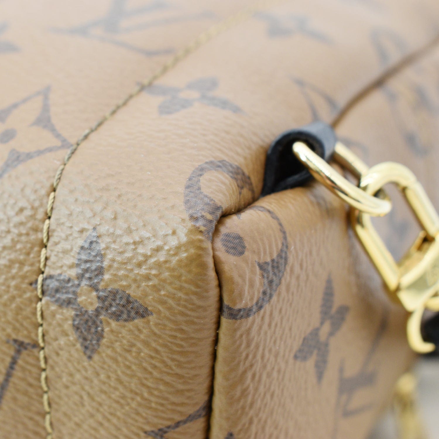 Louis Vuitton Monogram Palm Springs PM - Brown Backpacks, Handbags -  LOU705715