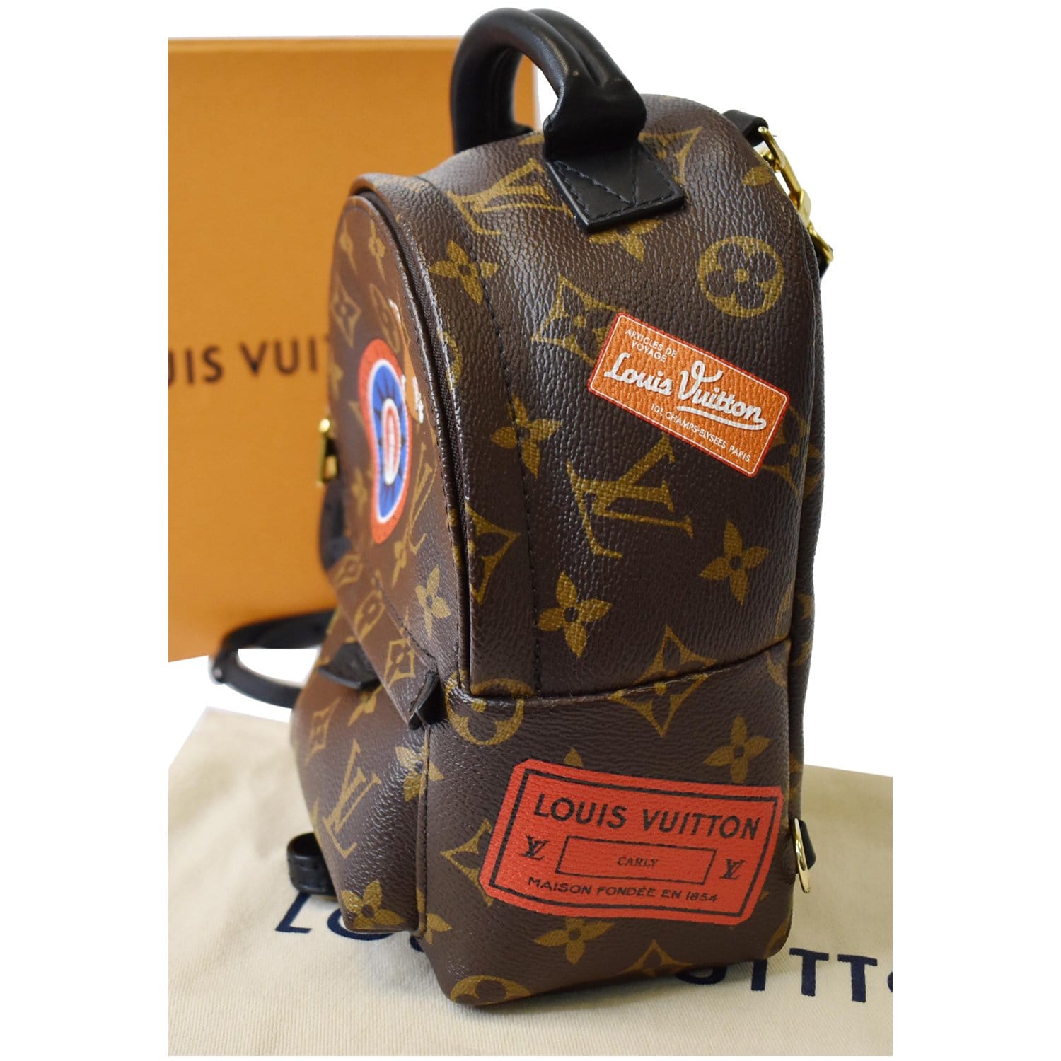 Louis Vuitton Palm Springs Backpack Limited Edition World Tour Monogram  Canvas Mini Brown 2341991
