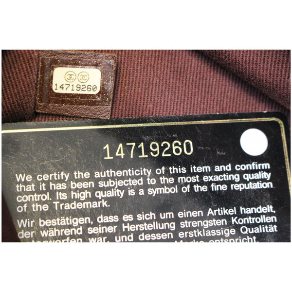 Chanel Classic Flap Bag Iridescent Surpique Chevron - price
